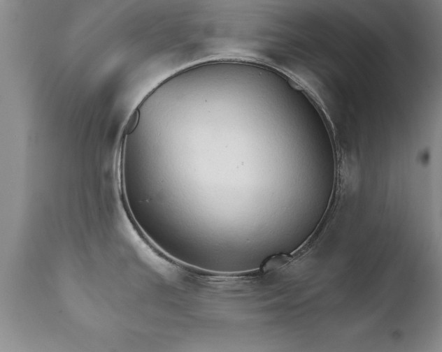 X0000111801391200907301158