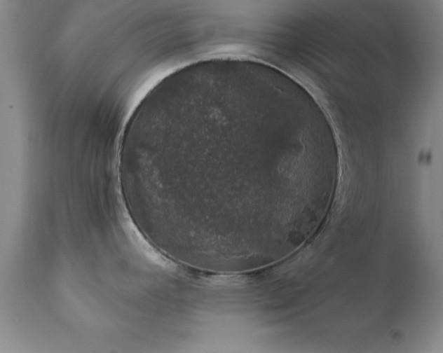 X0000111801392200907301158