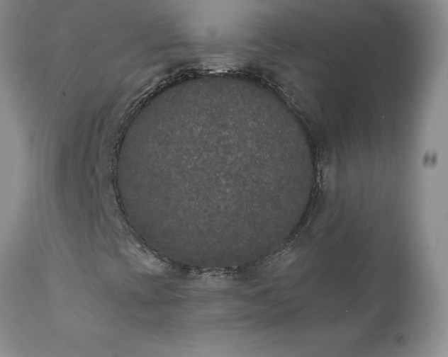 X0000111801393200907301157