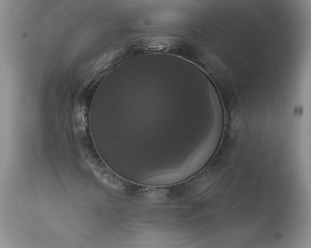 X0000111801394200907301157