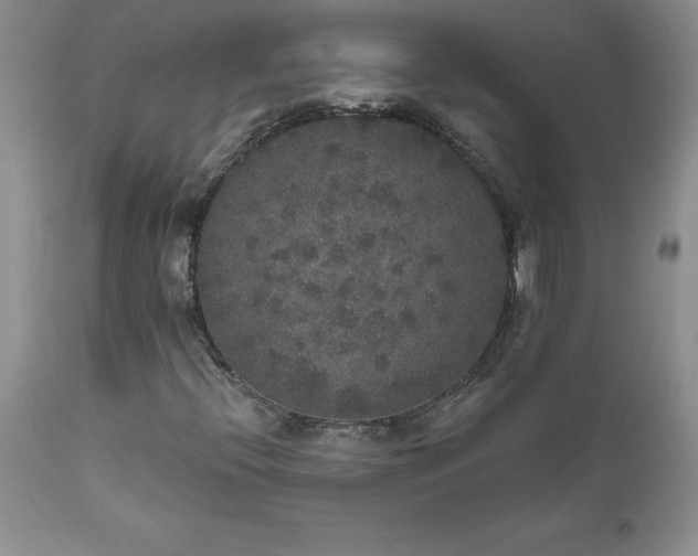 X0000111801396200907301158