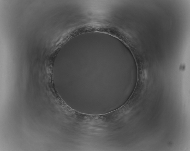X0000111801397200907301158