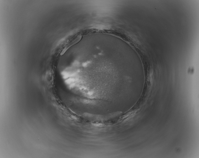 X0000111801398200907301158