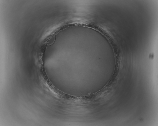 X0000111801399200907301158