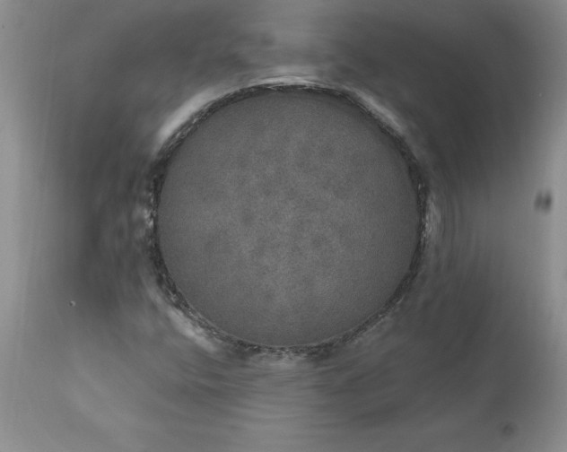 X0000111801400200907301158