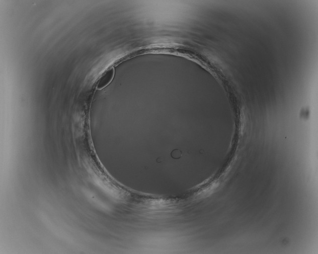X0000111801401200907301158