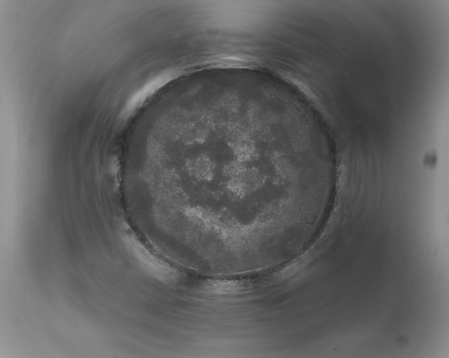 X0000111801402200907301158