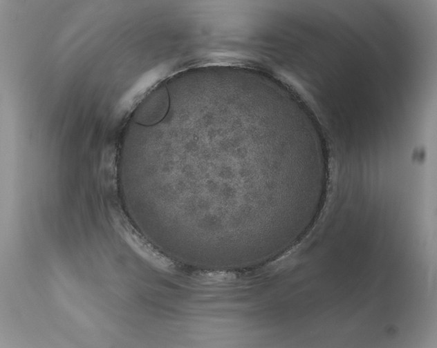 X0000111801403200907301158