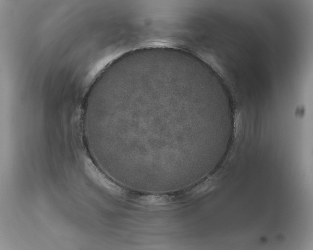 X0000111801404200907301158