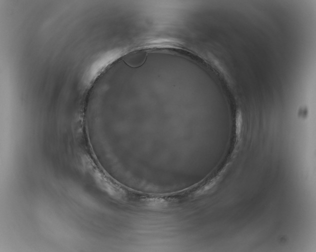X0000111801405200907301158