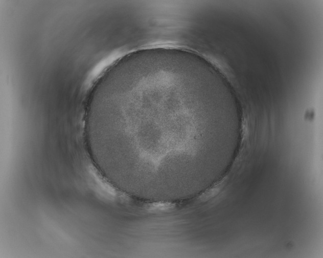 X0000111801406200907301158