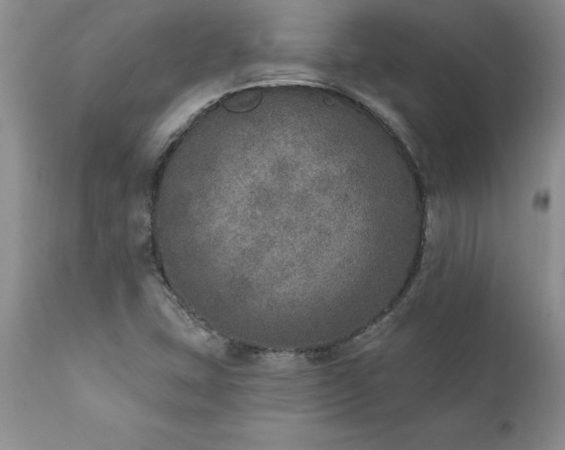 X0000111801407200907301158