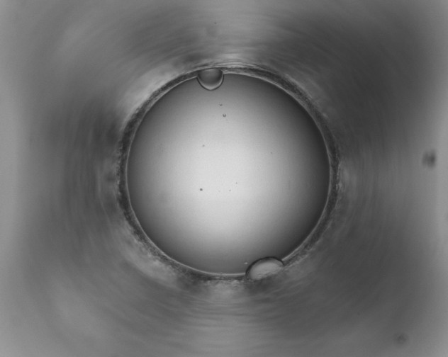 X0000111801410200907301158