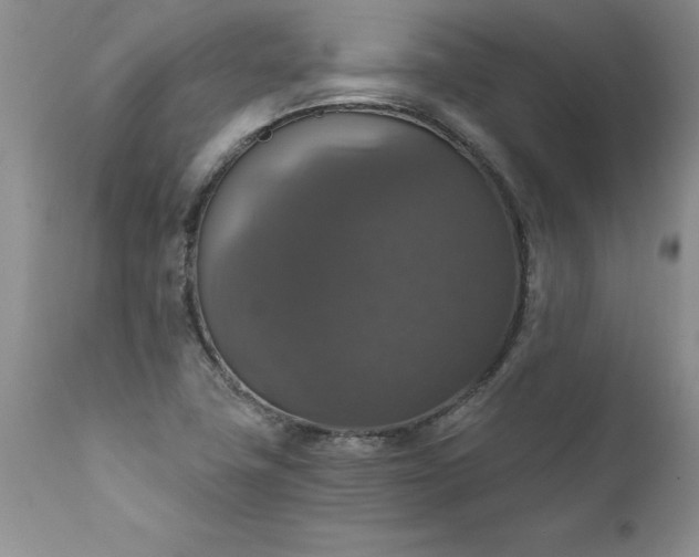 X0000111801411200907301158