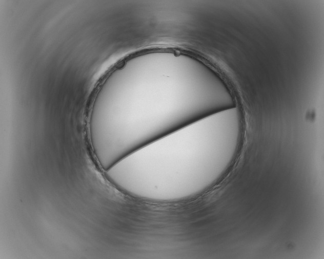 X0000111801412200907301158