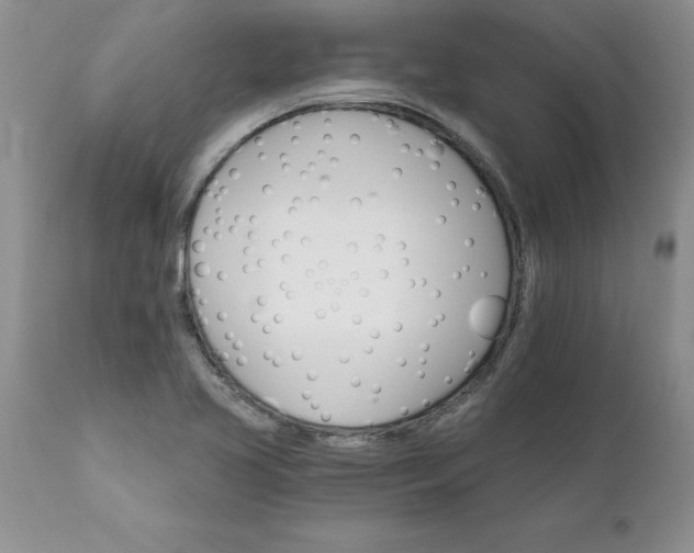 X0000111801413200907301158