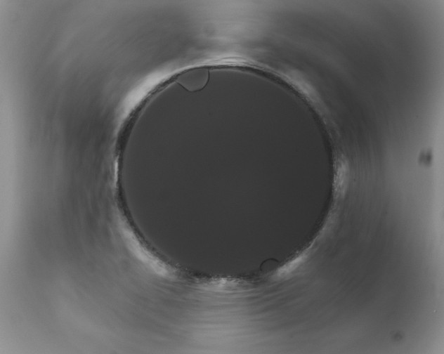 X0000111801414200907301158