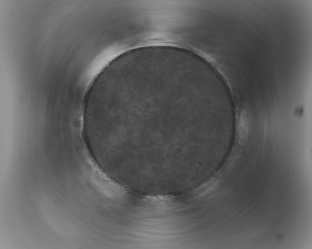 X0000111801415200907301158