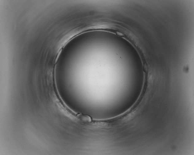 X0000111801417200907301158