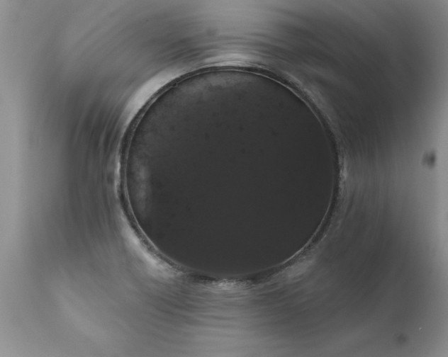 X0000111801418200907301158