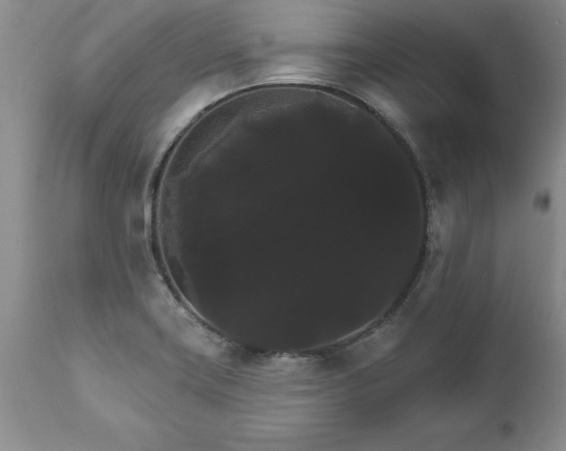 X0000111801419200907301158
