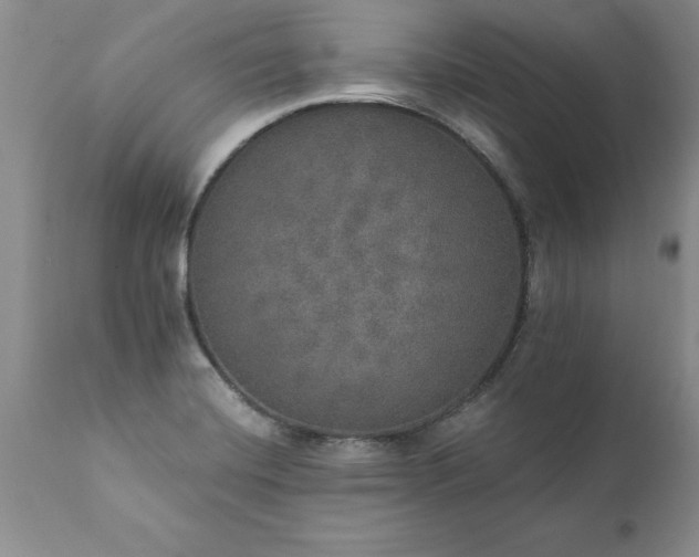 X0000111801420200907301158