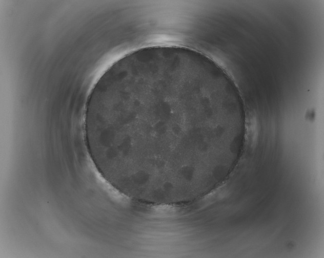 X0000111801421200907301158