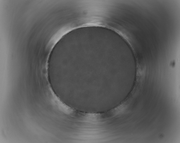 X0000111801423200907301158