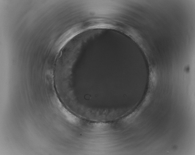 X0000111801425200907301158