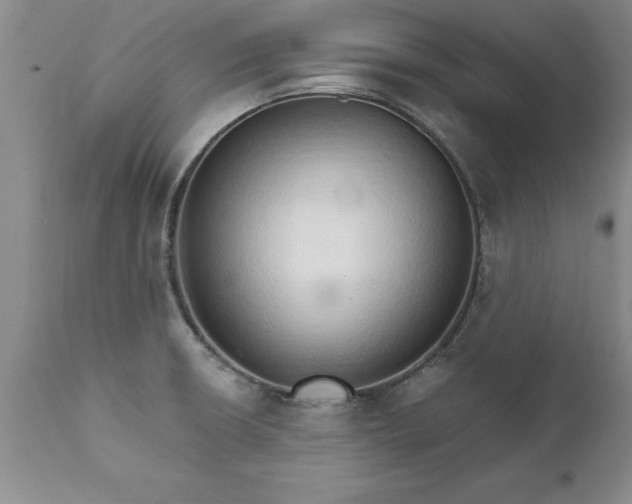 X0000111801426200907301158
