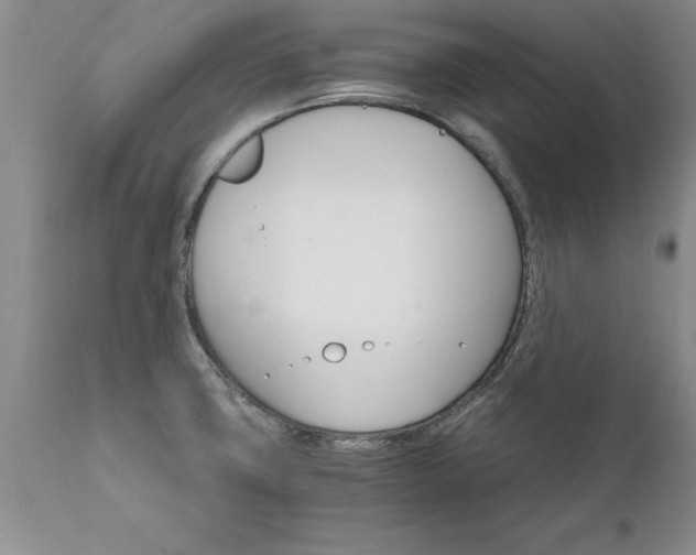 X0000111801427200907301158