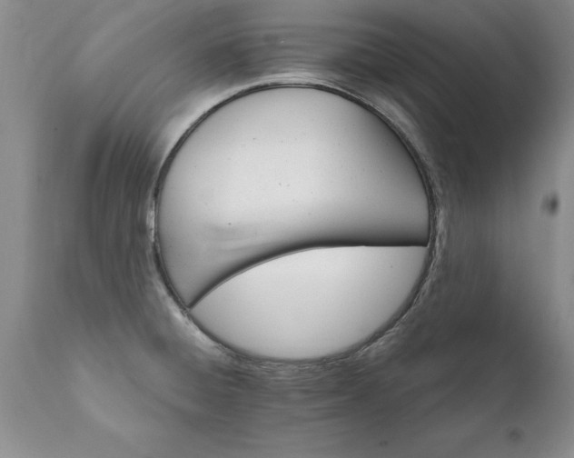 X0000111801428200907301158