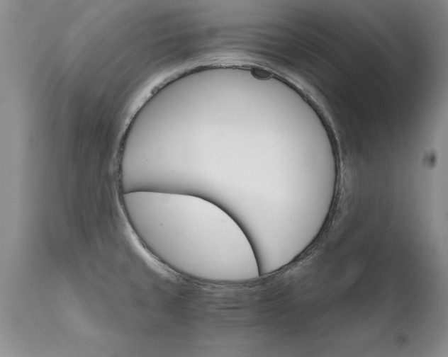 X0000111801429200907301158