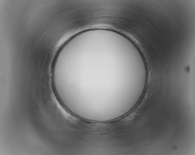X0000111801430200907301158