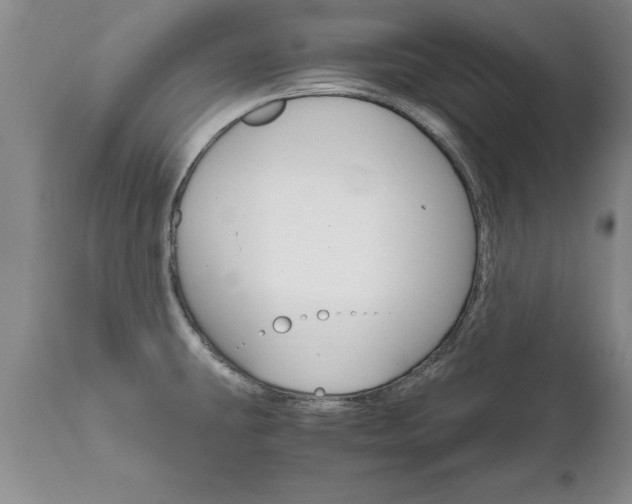 X0000111801431200907301158