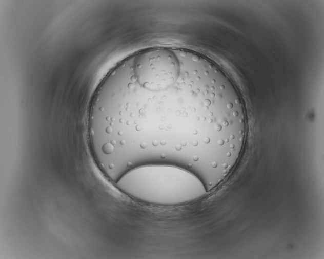 X0000111801432200907301158
