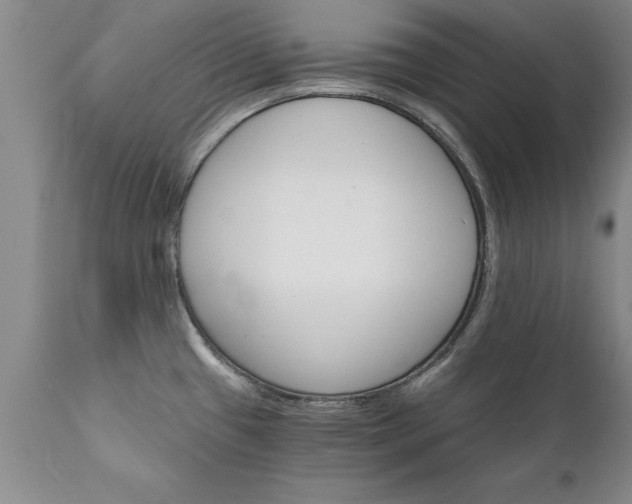 X0000111801433200907301158