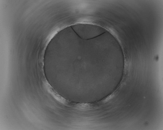 X0000111801435200907301158
