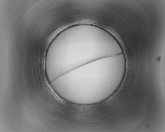 X0000111801436200907301158