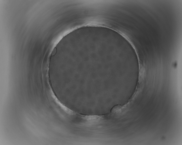 X0000111801437200907301158