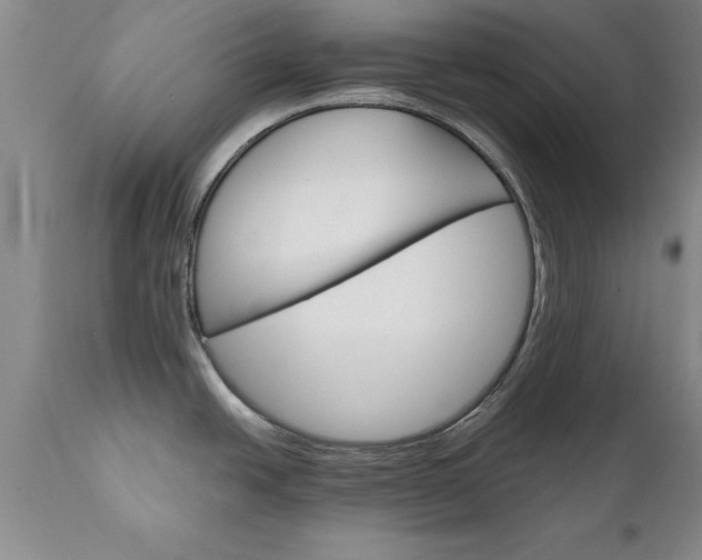 X0000111801438200907301158