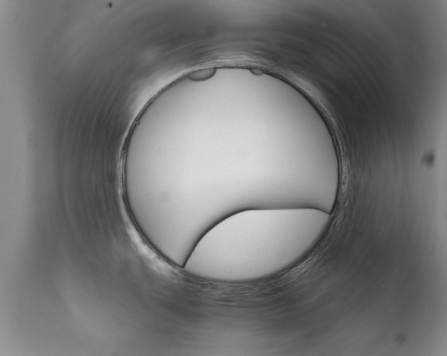 X0000111801439200907301158