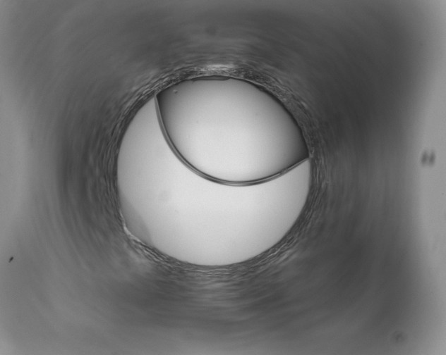 X0000111801441200907301157