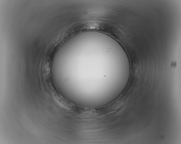 X0000111801442200907301157