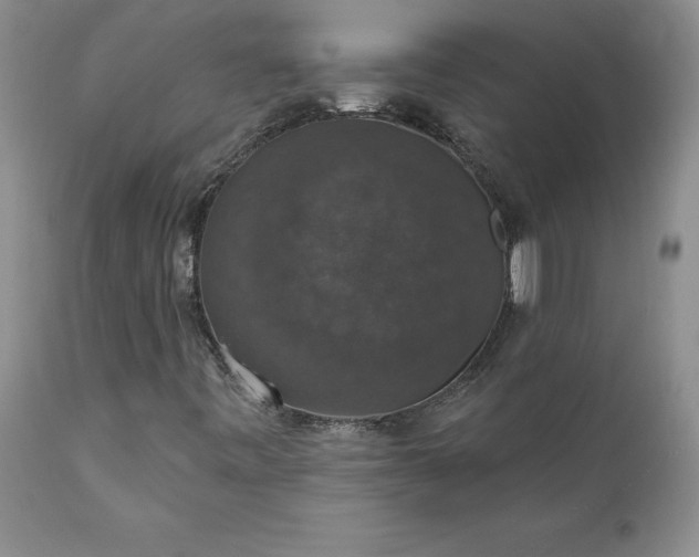 X0000111801443200907301157