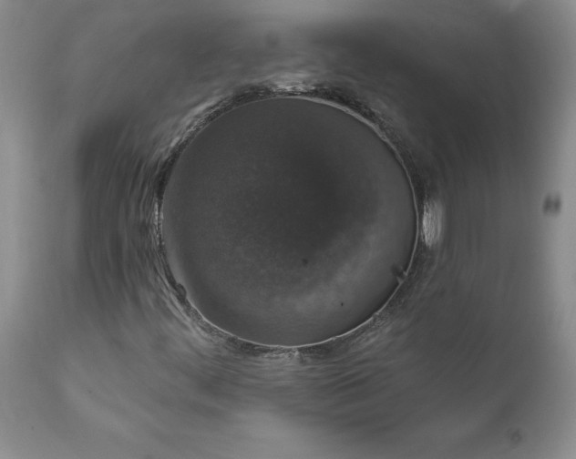 X0000111801444200907301157