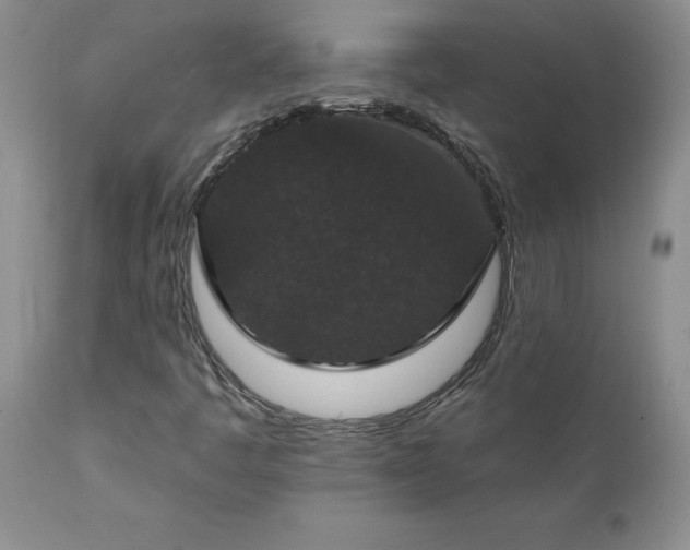 X0000111801445200907301157