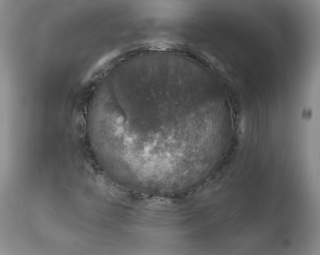 X0000111801446200907301157