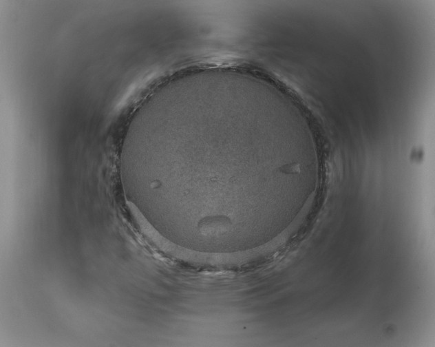 X0000111801447200907301157