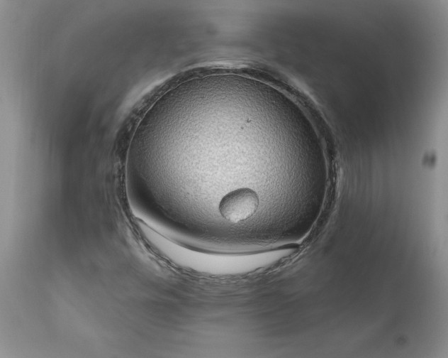 X0000111801448200907301157